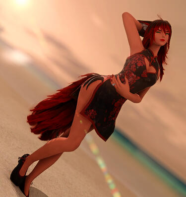 Witch and broom Witch and broom